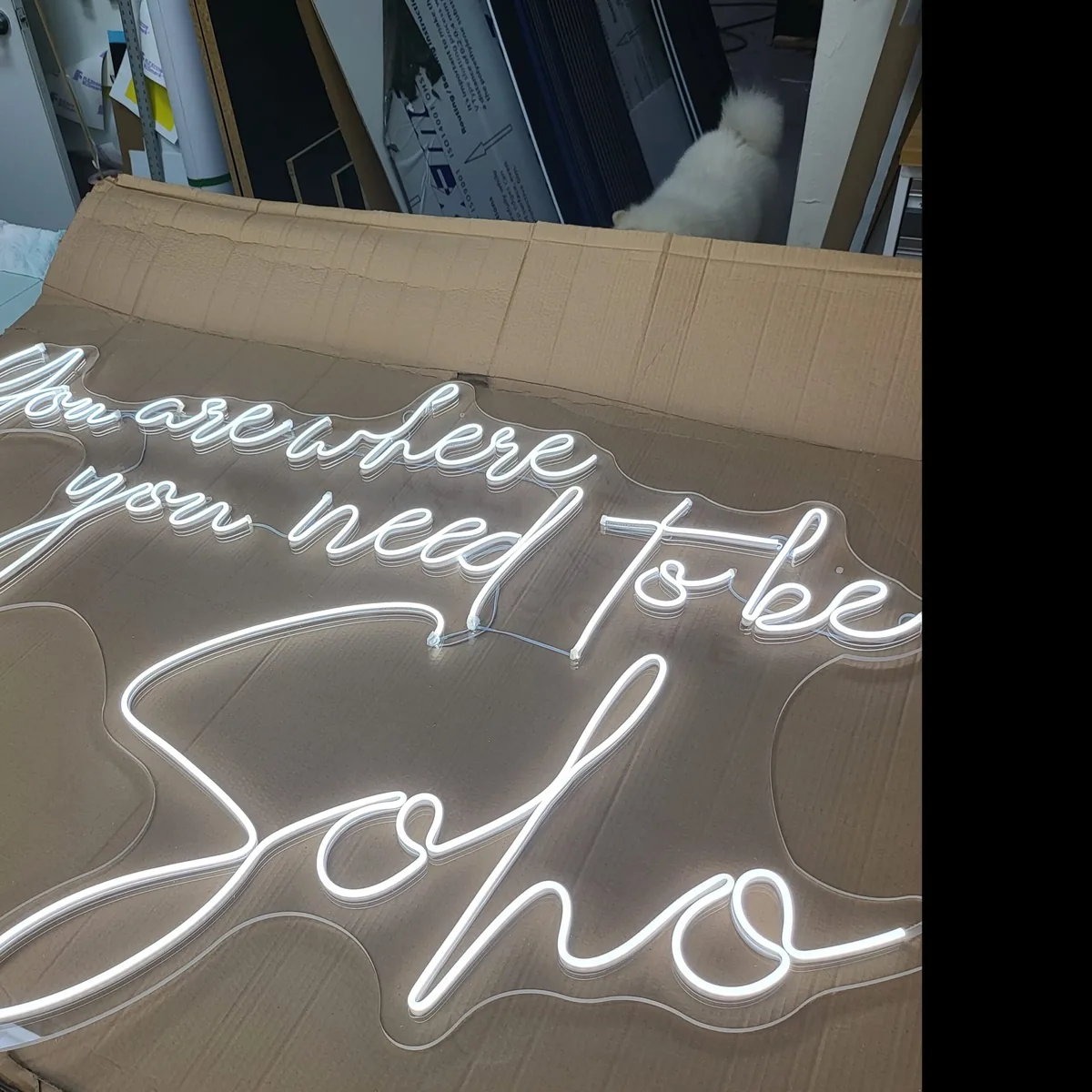 Backlit Signs — view 3