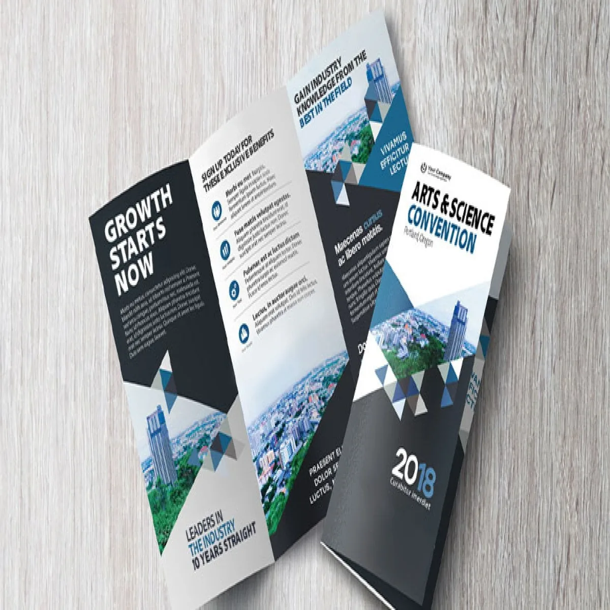Brochures — view 2